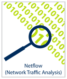 Netflow (Network Traffic Analysis)